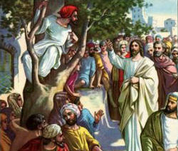 Image of The Sycamore tree created a clear line of vision for Zacheus. It helped him to rise above the crowd and see the Lord clearly. It placed him in the right position for the invitation that would follow. Jesus told him to come down for he was coming to his house! Imagine the thrill. For us, the Sycamore tree is a symbol of that place in our own lives which enables us to have a clear vision of Jesus. 