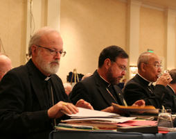 Image of This draft letter from our Bishops presents a stellar summary and synthesis of the teaching of the Catholic Church and points the path to cultural recovery.