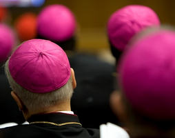 Image of 'Health care reform could be voted on as early as next week. These materials need to be in the hands of Catholics starting this weekend. Thank you for your efforts in serving our bishops and getting the word out'.