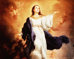 Image of 