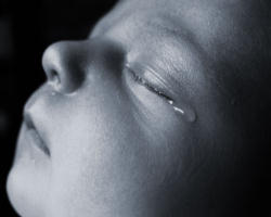 Image of One of the many ads sponsored by the US Catholic Bishops during this campaign.