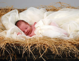 Image of Historical photograph of an image originally titled 