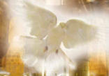 Image of The Holy Spirit 