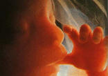 Image of Natural Procreative Technology:  these three words have given my heart reason to hope again.