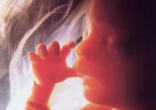 Image of Every child in the womb is fully human from the moment of conception.