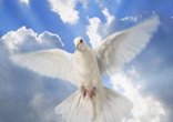 Image of Life in the Spirit constitutes the fullness of human life; it is a life filled with light and love, tenderness and compassion as we share in God's own divine nature. Through the love of the indwelling Spirit, who resides in his faithful as in a temple, the soul is infused with an enduring, real and knowable peace. It is a peace that heals, elevates and perfects our ability to live our human life in all its fullness.
