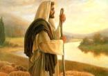Image of 