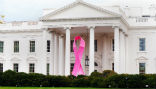 Image of Obama adorned the White House with a pink ribbon last October. Absent were green and periwinkle ribbons. 