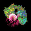 Image of A rendering of a cancer cell. 