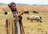 Image of Shepherd and his Sheep
