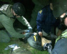 Image of Dzhokhar following his capture.