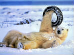 Image of Admittedly, the global warming debate can get a little tiring at times. 