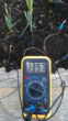 Image of Electricity from plants is nothing new, but making it feasible could change the world. 