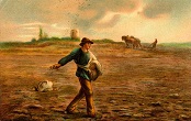 Image of The sower went out to sow