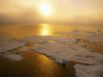 Image of The loss of sea ice was cited as an immediate threat, but how does that threaten humanity?