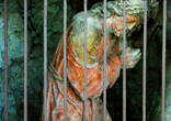 Image of Go visit your imprisoned Lord who longs to see you.