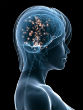 Image of Mind reading is becoming a reality as new research provides improved understanding to how the brain works. 