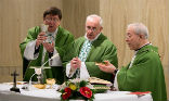 Image of Pope Francis is writing an encyclical on ecology. 