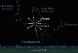 Image of You can look anywhere in the sky, as long as it's dark. Southern hemisphere viewers will see far fewer meteorites because the shower is literally raining down on the northern hemisphere.