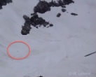 Image of Is this the elusive Sasquatch?
