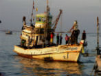 Image of Forced to work on old fishing boats, slaves work 20-hour days, often with drugs to keep them going. They are not paid, having been bought and sold into the industry. 