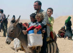 Image of An Iraqi man flees with children on a donkey amid hundreds of other refugees. Christians and other ethnic minorities have been driven from their ancient homelands and into camps. 