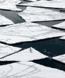 Image of Ice is expanding, but scientists warn it is a sign of global warming. 