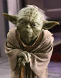 Image of 