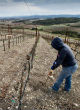 Image of The lack of a sufficient water source in parts of California damages agricultural farmlands