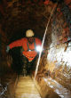 Image of [Mike Koozmin/S.F. Examiner file photo]