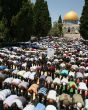 Image of Muslims praying in Jerusalem's holy city.