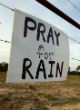 Image of Californians have turned to prayer to bust the drought, but the latest scientific forecasts suggests they will need to turn to more than prayer in the year to come --Californians will need to turn to one another and help in the truest of Christian spirits if they wish to save their livelihoods and communities. 