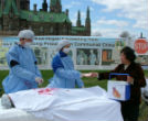 Image of Organ theft awareness (Xiaoyan Sun).