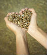 Image of Serving God.