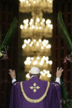 Image of Pope Francis opening the Holy Door at St. Peter's Basilica in Rome. 