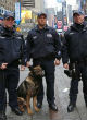 Image of NYPD on alert (ABC).
