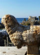 Image of The ram was discovered by the Caesarea Development Corporation and the Israel Antiquities Authority (Vered Sarig/The Caesarea Development Corporation).