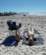 Image of Californians are making the most of the unseasonable weather, sunbathing on the beaches as rain falls far to the north of Los Angeles.