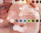 Image of Gene editing has arrived, but its ethical implications are massive.