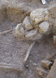 Image of A prehistoric village may show evidence of one of the world's first farmers (PLoS One).