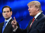 Image of Don't cry that Marco Rubio is out, be happy that the Republican Party is about to flourish.