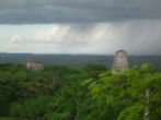 Image of William Gadoury, thought he discovered a lost Mayan city, but archaeologists say no. 