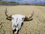 Image of The extended heatwave is expected to shatter records, and could claim lives as the region withers. 