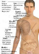 Image of Can stem cells cure MS (WikiMedia Commons)?