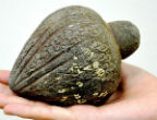 Image of The grenade is a surprisingly ancient weapon dating back to the Seventh century AD.