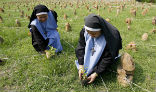 Image of Sisters plant trees in a clear-cut forest. 