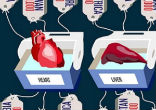 Image of The Vatican is pushing to make organ trafficking a crime against humanity.