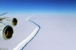 Image of The crack in the Larsen - C ice shelf has grown six miles in two months. 