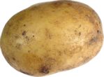 Image of Did Pope Francis call the Virgin Mary a couch potato? 