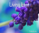 Image of 